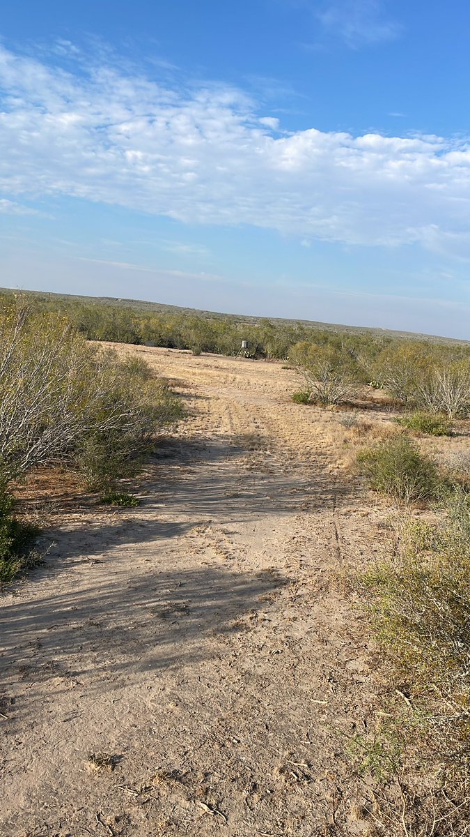 lxaviercabrera's tweet photo. The great outdoors. Happy Thanksgiving!!! https://t.co/AMtNyniMeO