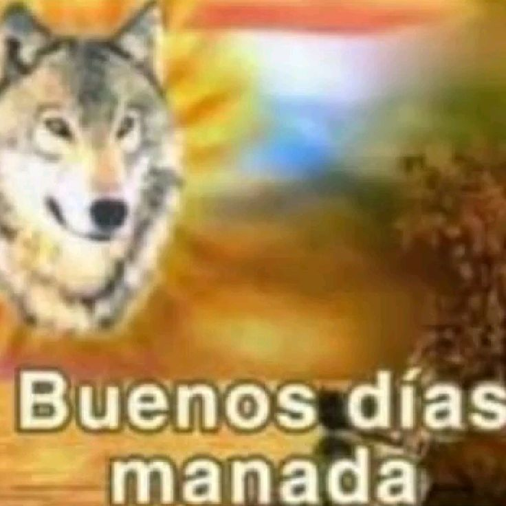MafehSin's tweet photo. Buenos días manada, prendí

https://t.co/G38WjSWtD4 https://t.co/MjQH5kFD74