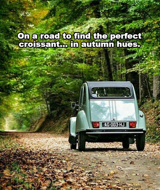 Driving in France tweet media