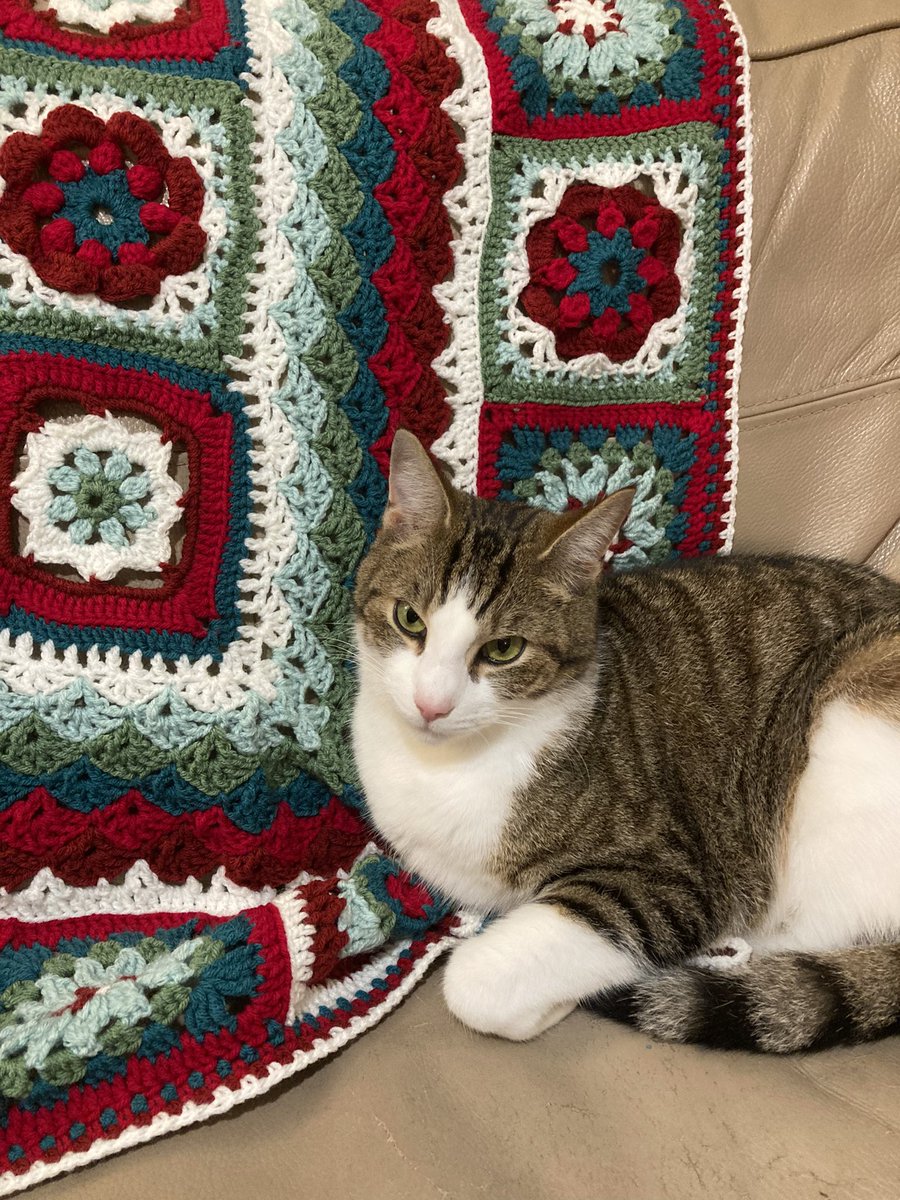 Rachel Kirky 💙 🇺🇦 tweet media