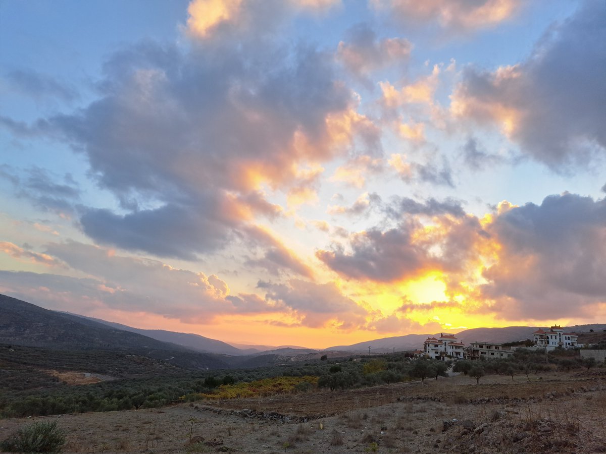 𝘼𝙡𝙞 tweet media