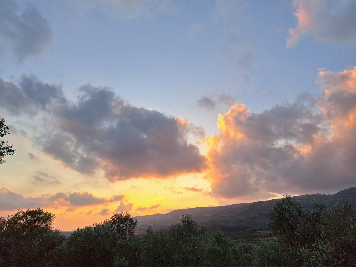 𝘼𝙡𝙞 tweet media