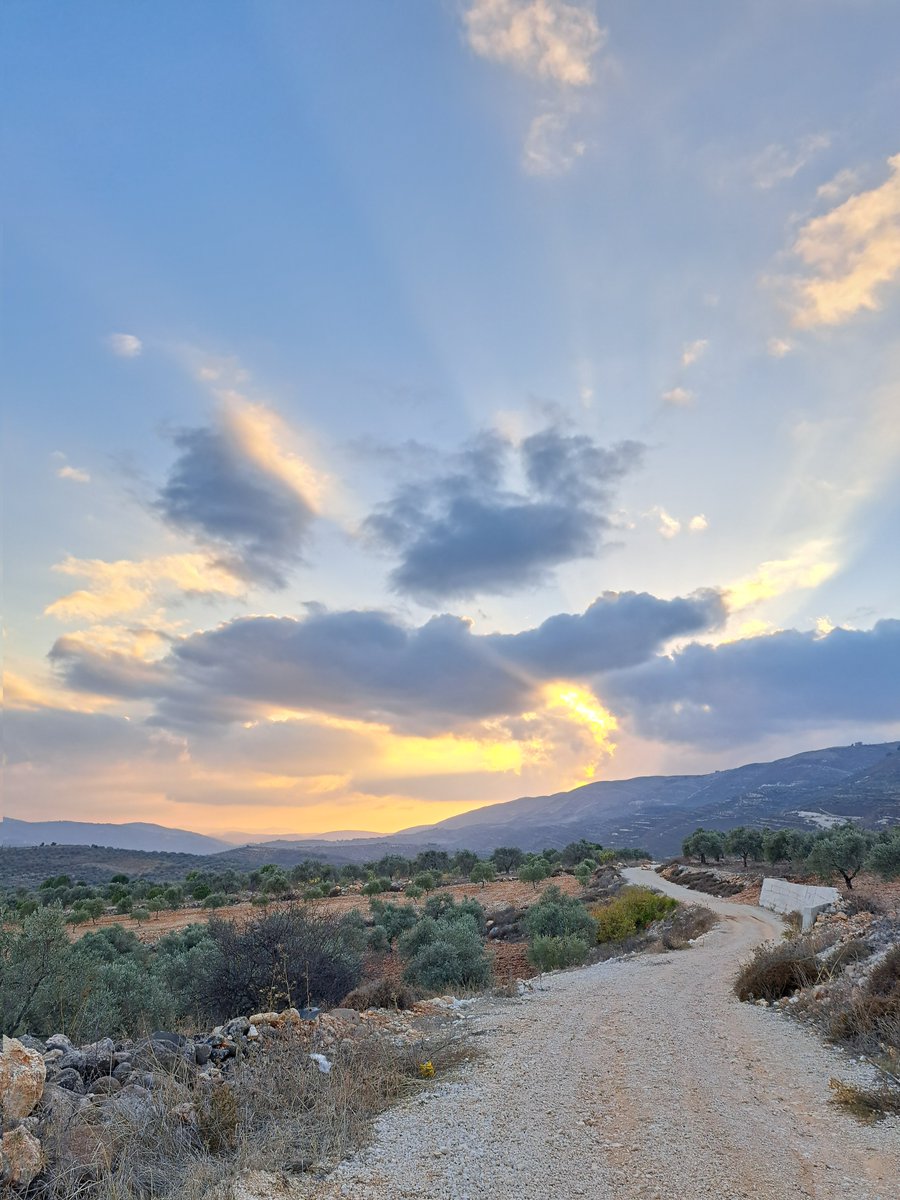 𝘼𝙡𝙞 tweet media