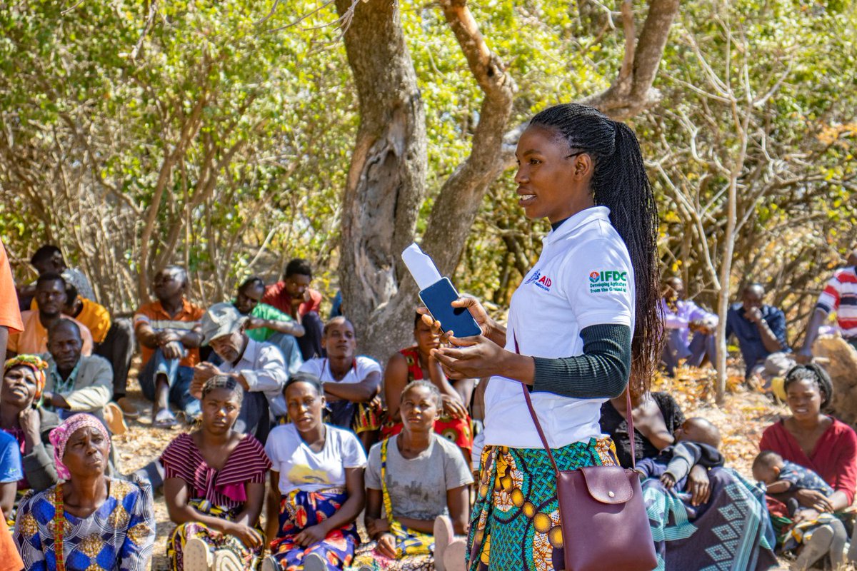 CIMMYT's tweet photo. #CIMMYT is transforming how farmers in #Zambia access agricultural knowledge through the #Atubandike platform. Co-developed with #Viamo, the toll-free 667 IVR connects 4,000+ farmers (50%+ women) to climate-smart tips &amp; peer learning. 🎧 Listen now: https://t.co/xaJylxpO4r 🌱 https://t.co/OEfyYpvris