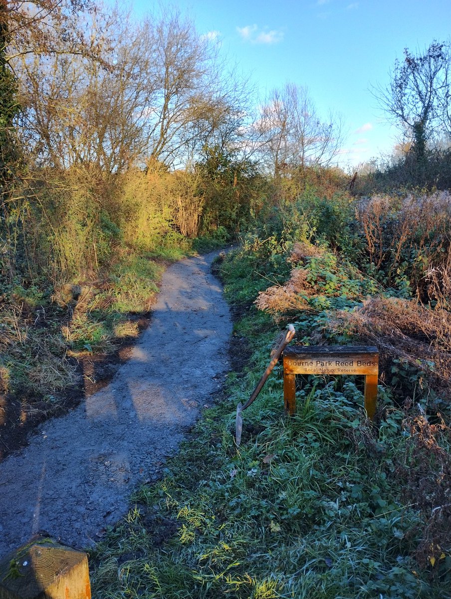 GreenwaysProj's tweet image. The newly surfaced path between Bourne Park and Bobbits Lane progressing well thanks to our wonderful volunteers! Around 70 tonnes of stone barrowed up to 500m!! Thanks to funding from @suffolkcc . Lots more improvements coming. @IpswichGov @BaberghSuffolk #volunteers #pathwork