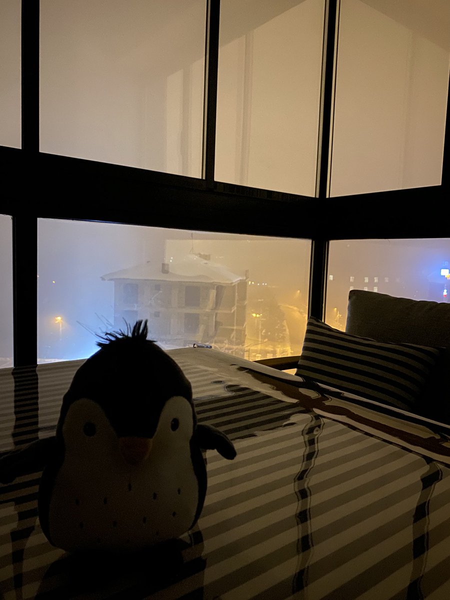 Oğlumu uyutmuşum, dışarıda kar var sis var…  Balkonda boş boş otururken birden şu arkadaşla göz göze geldik 😅