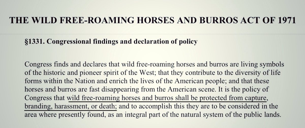 Blueequus775's tweet photo. Scroll to the bottom to “Daily Gather Reports” and look at how many horses BLM has killed at the Triple B roundup that’s happening now and the reasons they gave for killing them.🖕🏽

👉🏼 https://t.co/fBOcmw8IVs https://t.co/NFfOlwEYWp