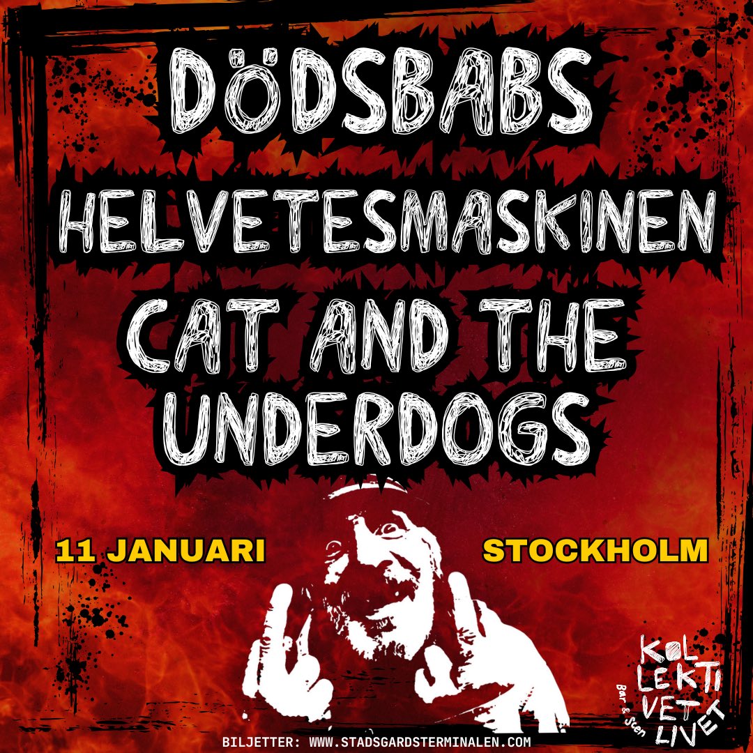 catunderdogs's tweet photo. Bästa Punken 2025 https://t.co/RV68IKC9ds