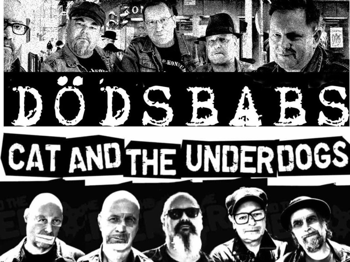 catunderdogs's tweet photo. Bästa Punken 2025 https://t.co/RV68IKC9ds