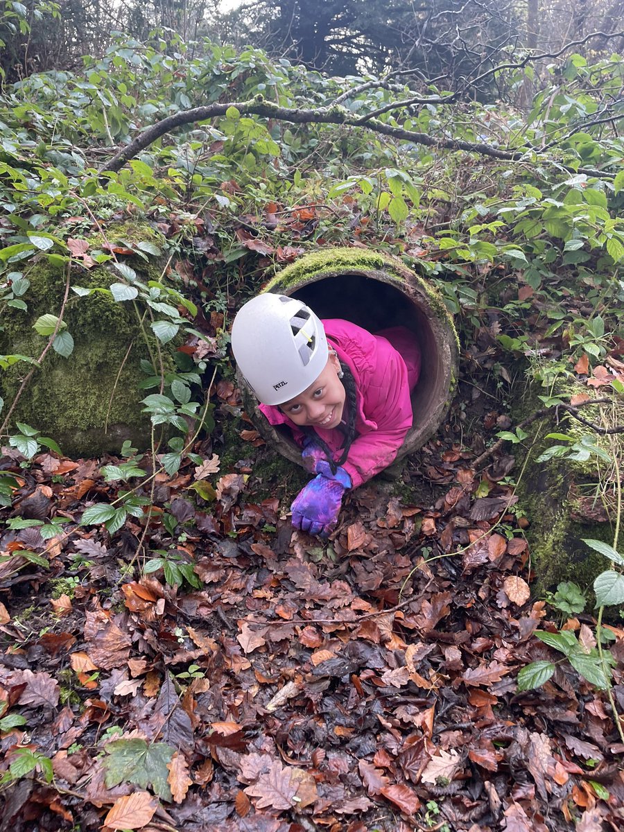 Attenborough tried some tunnelling, then traveled to a gorge and walked up it using brilliant team work! This evening, they toasted marshmallows by a fire!