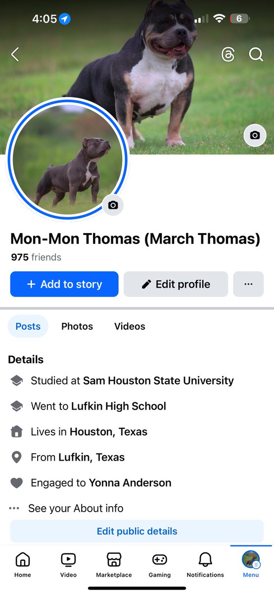 yoboimarch's tweet photo. Been a minute since I’ve been on here, but with Facebook acting up in the bully world, I’m giving Twitter a shot! 🐾

Follow me on Instagram and Facebook to check out some stunning Pocket American Bullies! https://t.co/3GIAqd5pE1
