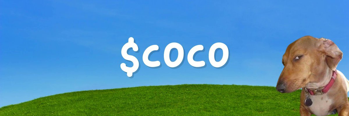 Today's cook: Coco the side eye dog 🧐

Elite level TikTok trend / Dog Meta

4000 holders in an hour. @CocoXSolana $COCO

6zQ68GdAJ4yNQrJoSQ1m4oMLYNfD452EZ9h5tUkipump