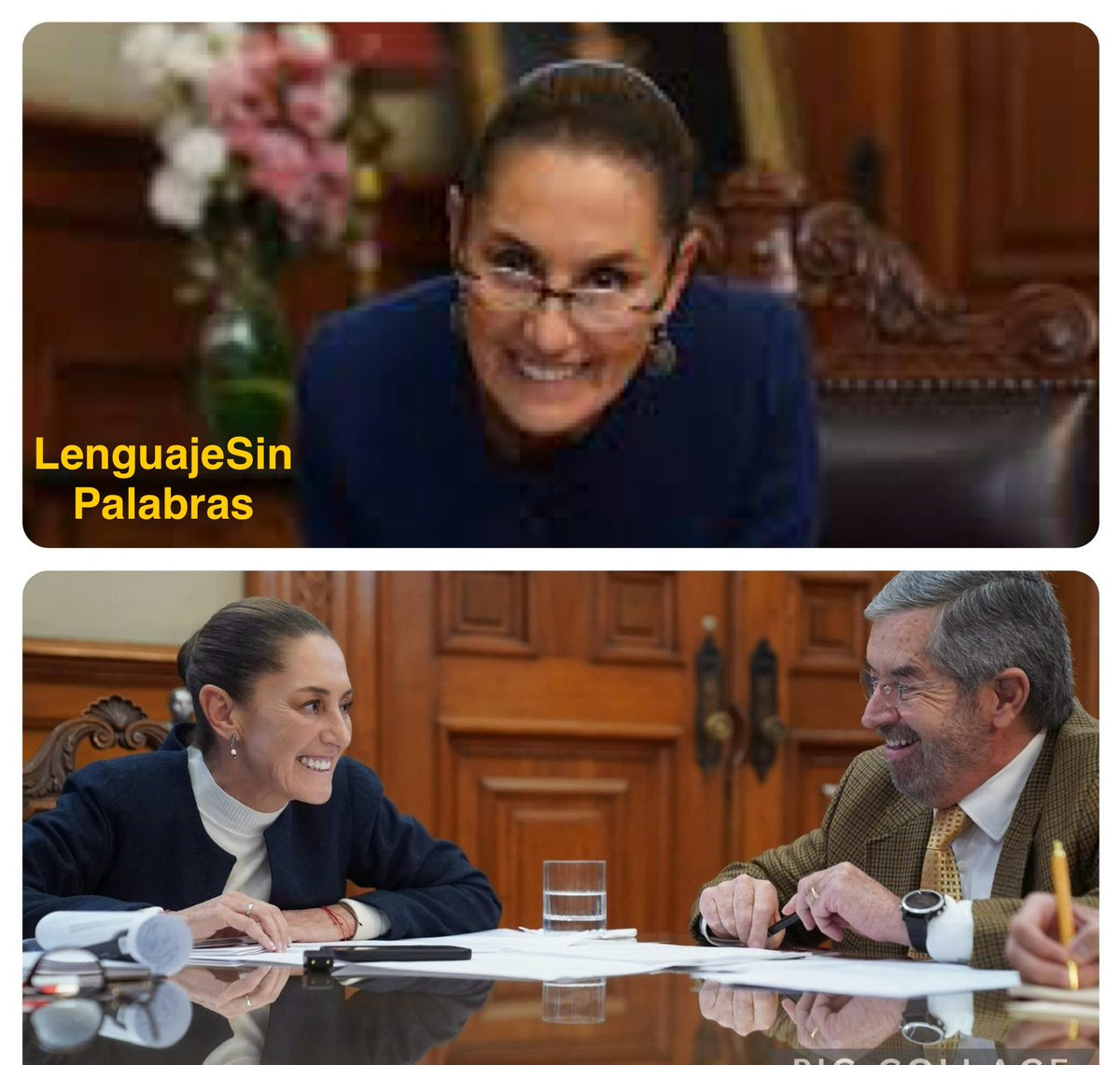 Bárbara Tijerina tweet media