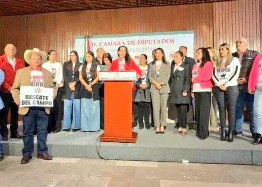 NadiaMadrigal's tweet photo. Ahora la ex candidata a la Gubernatura del #PRI #LauraHaro acude a la @Mx_Diputados a solicitar un incremento presupuestal para #Jalisco de 10 mmd , lo que se sabía hace mancuerna con #MC. https://t.co/aCyzHYMjAa