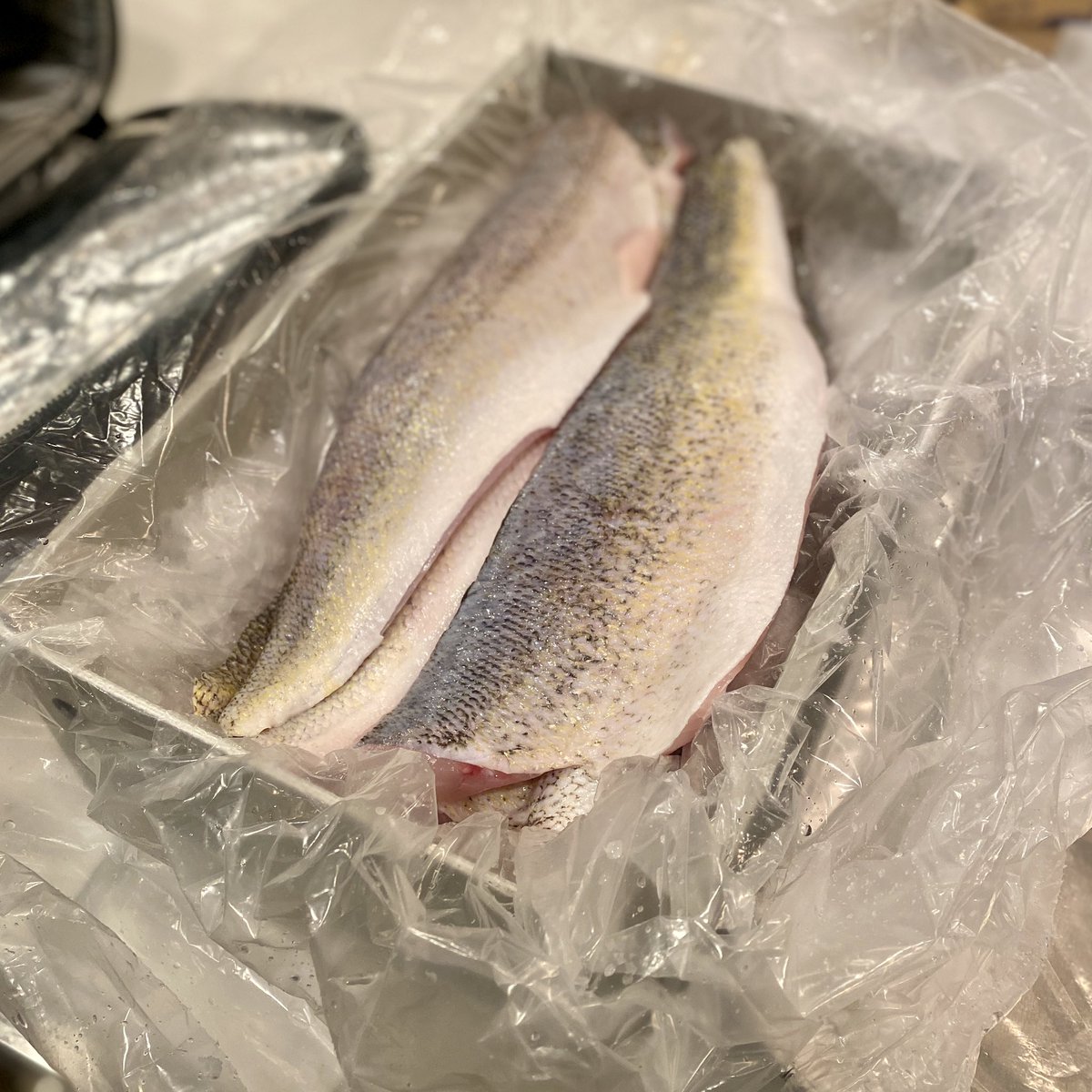 Matt Chatham tweet media