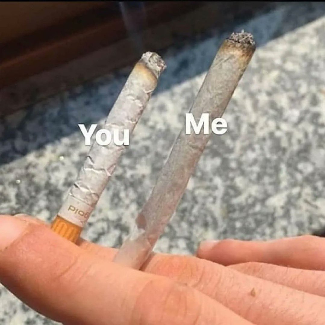 Stoner Barbie (@stonersvilla) on Twitter photo 