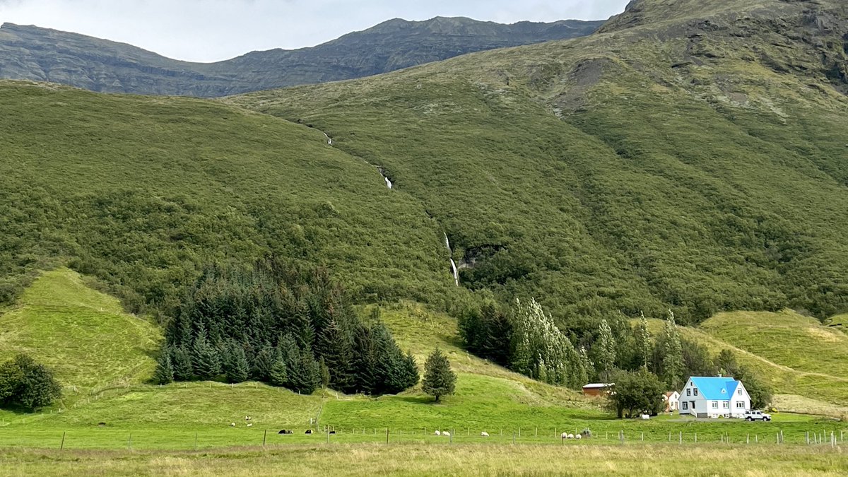 Singularia | viajes curiosos tweet media