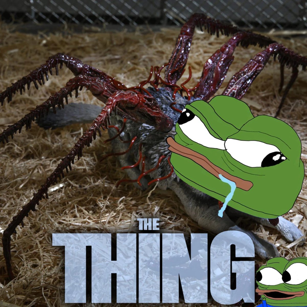 lowcode_life's tweet photo. True Story
#Crypto #Memes $APU #FrogsVsDogs https://t.co/BTsQ6izAlg