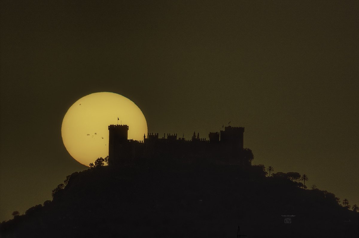 Pedro Mengual tweet media