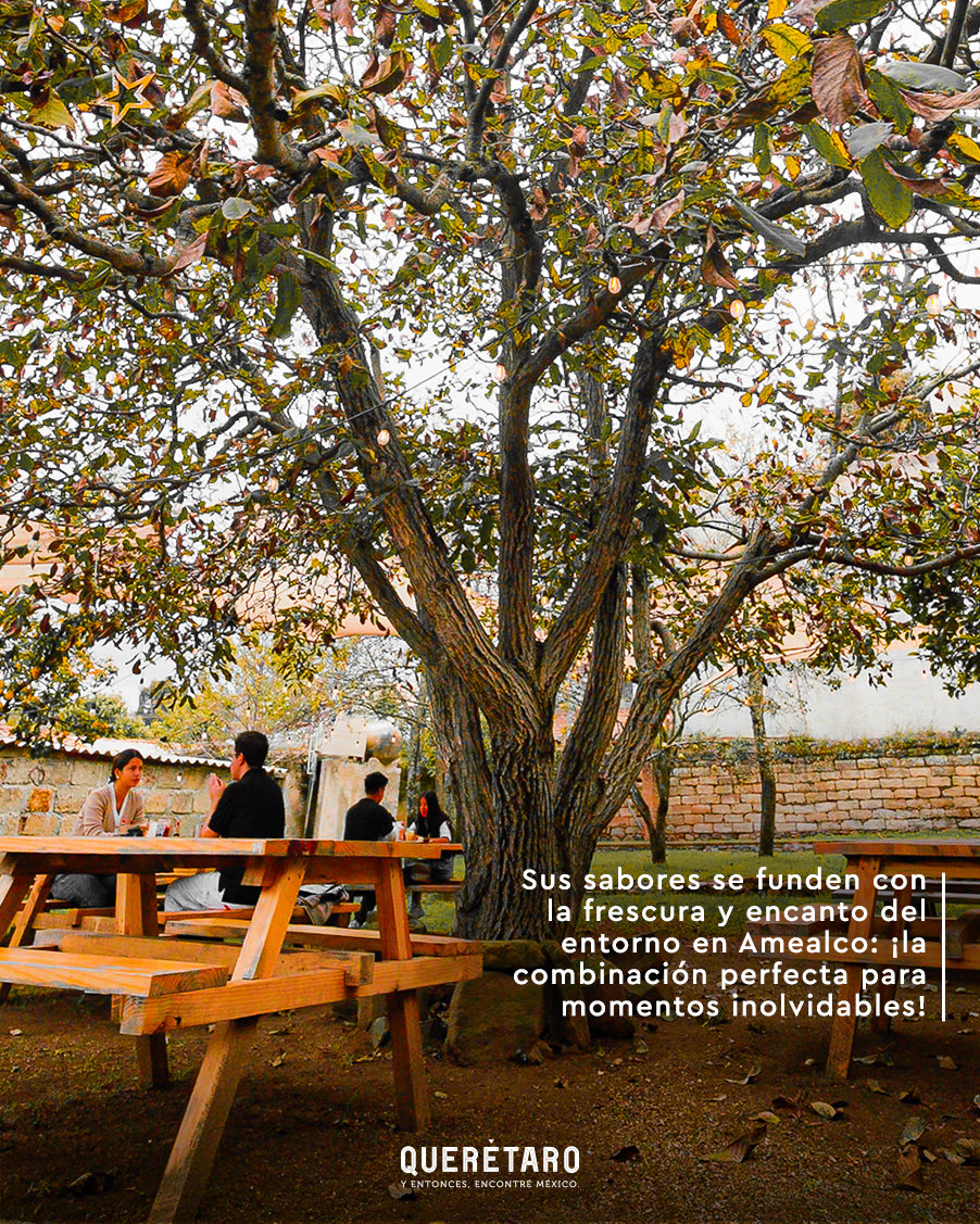 QroTravel's tweet photo. ¡Descubre un sabor que no se olvida! 🍔✨

Si eres amante de la pizza a la leña, la pasta y las hamburguesas, ¡visita “El Granero Amealco” y disfruta estos manjares en un ambiente único y acogedor!

¡Conócelo en el #pueblomágico de #AmealcodeBonfil, en tu próxima visita al sur de #Querétaro!  

#Gastronomía