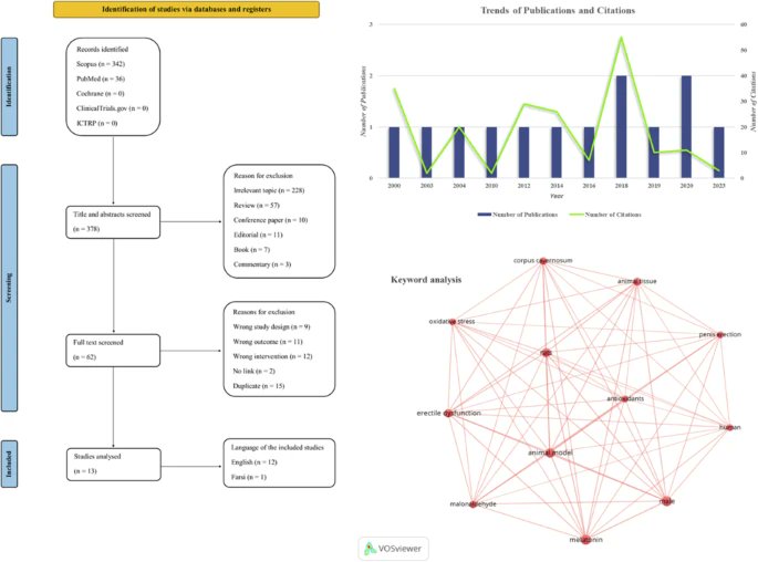 The #Melatonin and #erectiledysfunction: addressing research gaps and proposing future investigations 👉 nature.com/articles/s4144…

@Amin_Sharifan