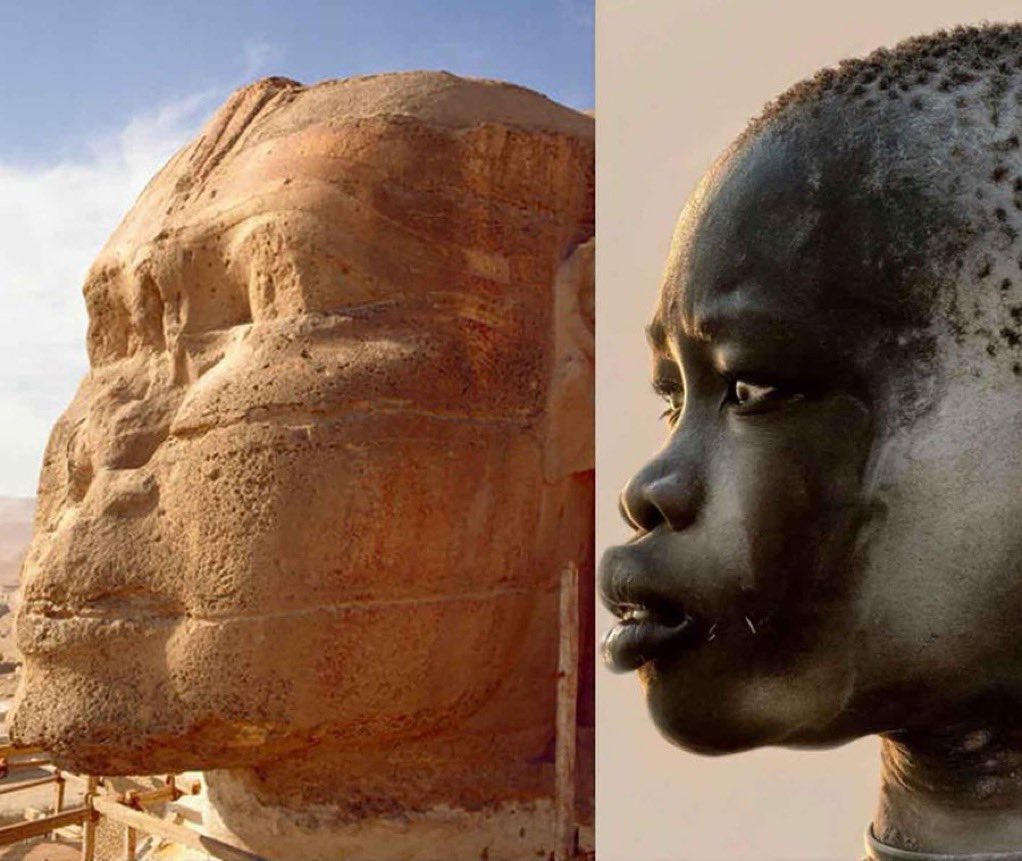 صــ ع ــاب | المصريين🇪🇬 tweet media