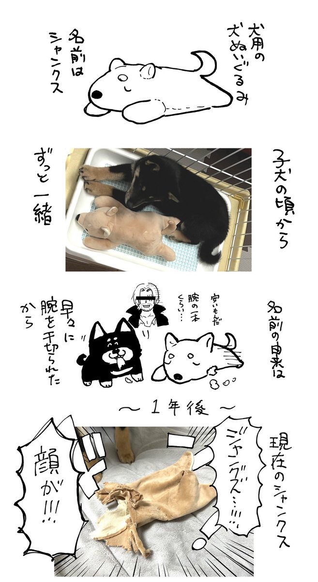 犬とシャンクス 