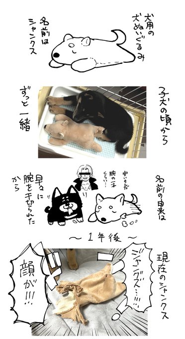 犬とシャンクス 