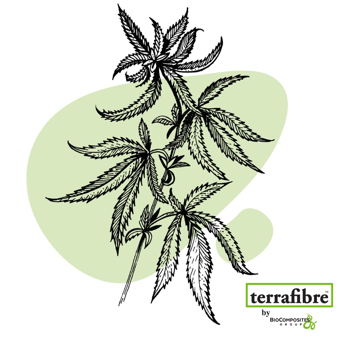 Did you know? Here's 3 unusual traits of the hemp plant that you might not be aware of:
1.Phytoremediation Properties
2.Versatile Biomass Potential
3.High Resistance to Pests and Diseases
3 traits/uses alone are fantastic! Try Hemp Today. #hemp