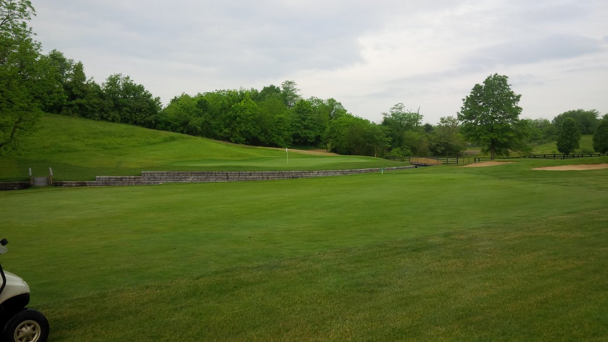 One Bearded Golfer tweet media