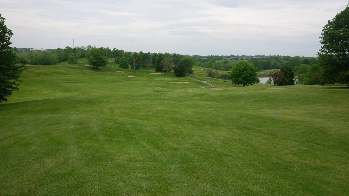 One Bearded Golfer tweet media