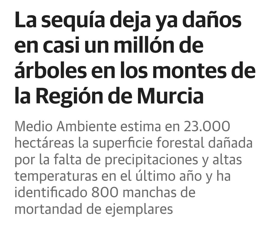 MeteoSE's tweet photo. 😔 Lo veníamos advirtiendo desde hace varios meses. Los últimos datos apuntan a la muerte ya de cerca un millón de árboles en la Región de Murcia. Afectado básicamente el pinar por acción de los perforadores en ejemplares debilitados por la sequía y las altas temperaturas. https://t.co/7dgSimqcIz