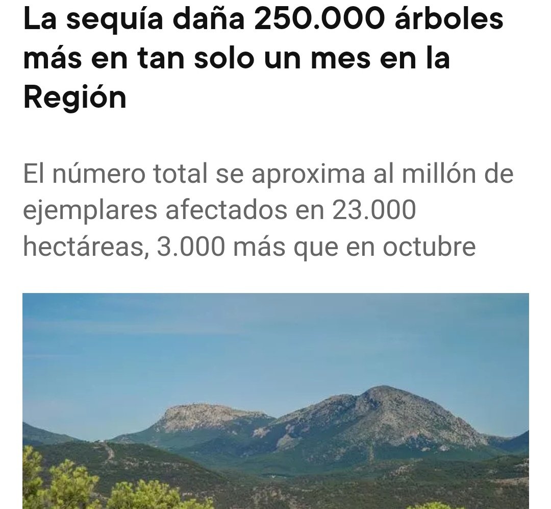MeteoSE's tweet photo. 😔 Lo veníamos advirtiendo desde hace varios meses. Los últimos datos apuntan a la muerte ya de cerca un millón de árboles en la Región de Murcia. Afectado básicamente el pinar por acción de los perforadores en ejemplares debilitados por la sequía y las altas temperaturas. https://t.co/7dgSimqcIz