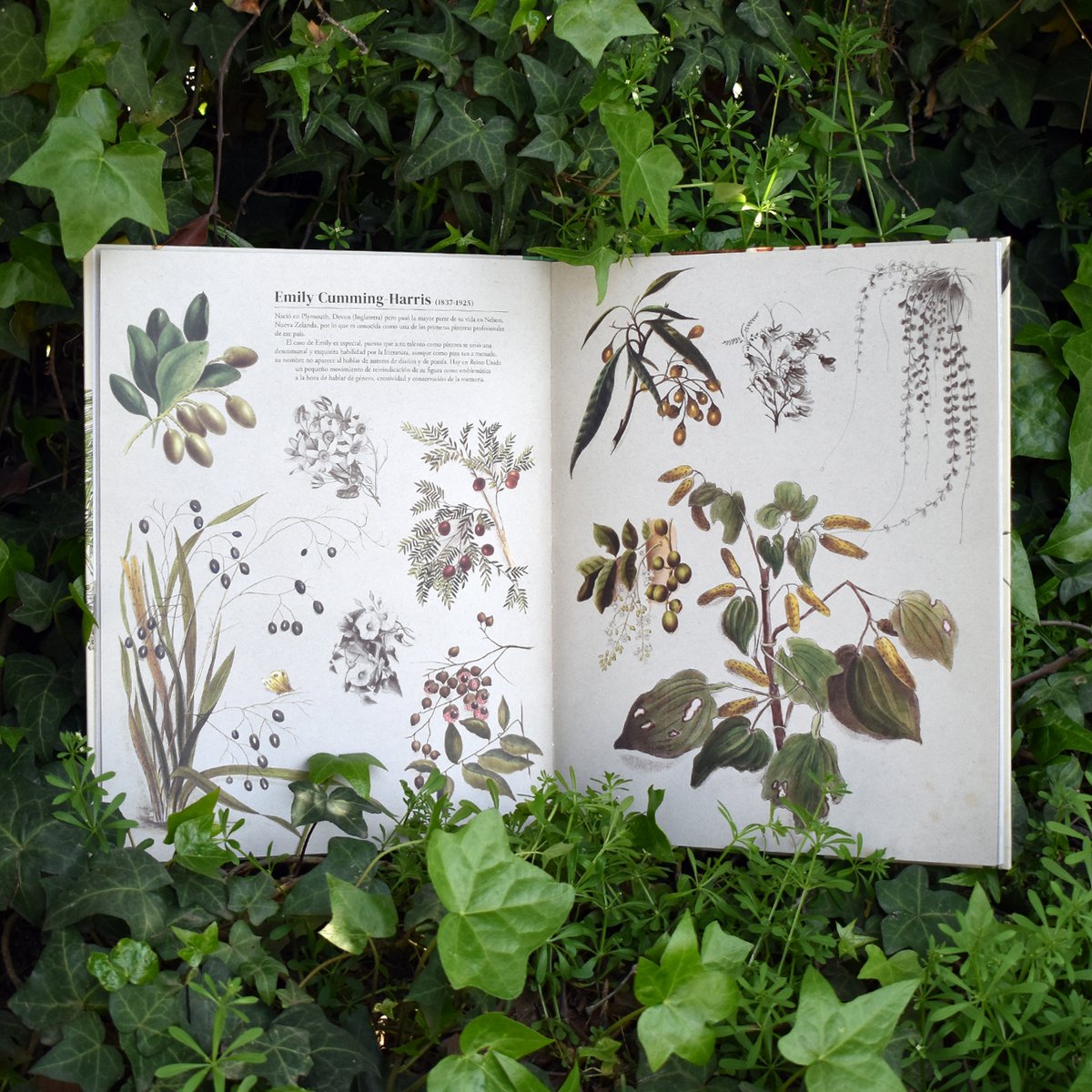 Ellas y el mundo natural es un homenaje a las miles de mujeres artistas y científicas que ya nunca podrán ser recordadas, como a las que sí lo son y lo serán. Estas breves biografías dan a entender, la lucha, el dolor y el ímpetu por ver publicadas sus obras bajo su nombre.