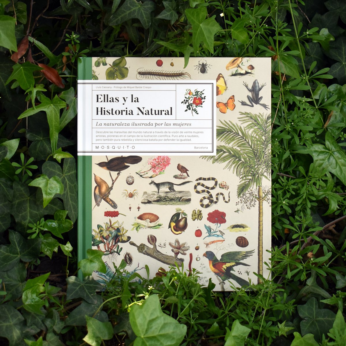 Libro Verde tweet media