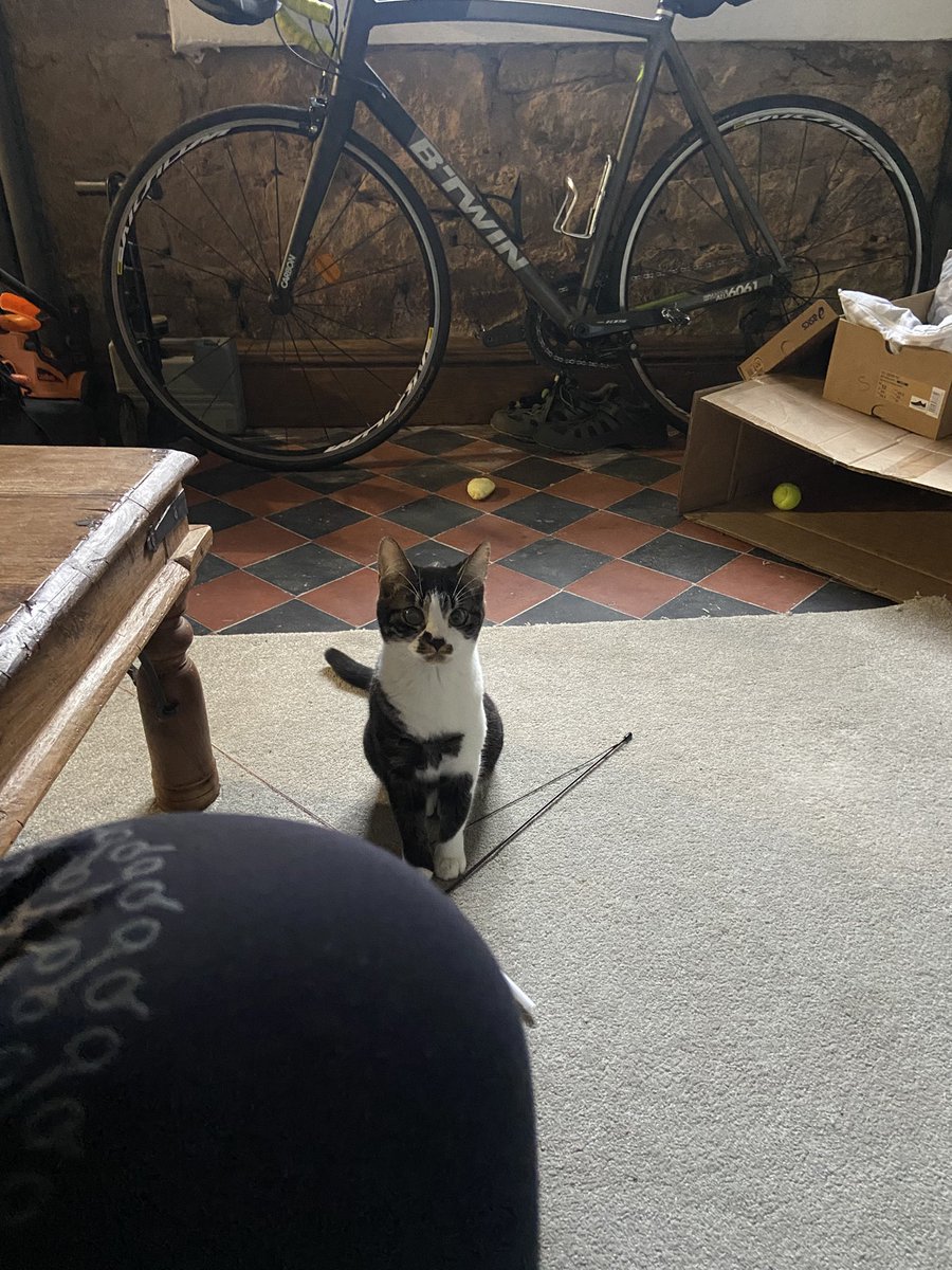 Caroline tweet media