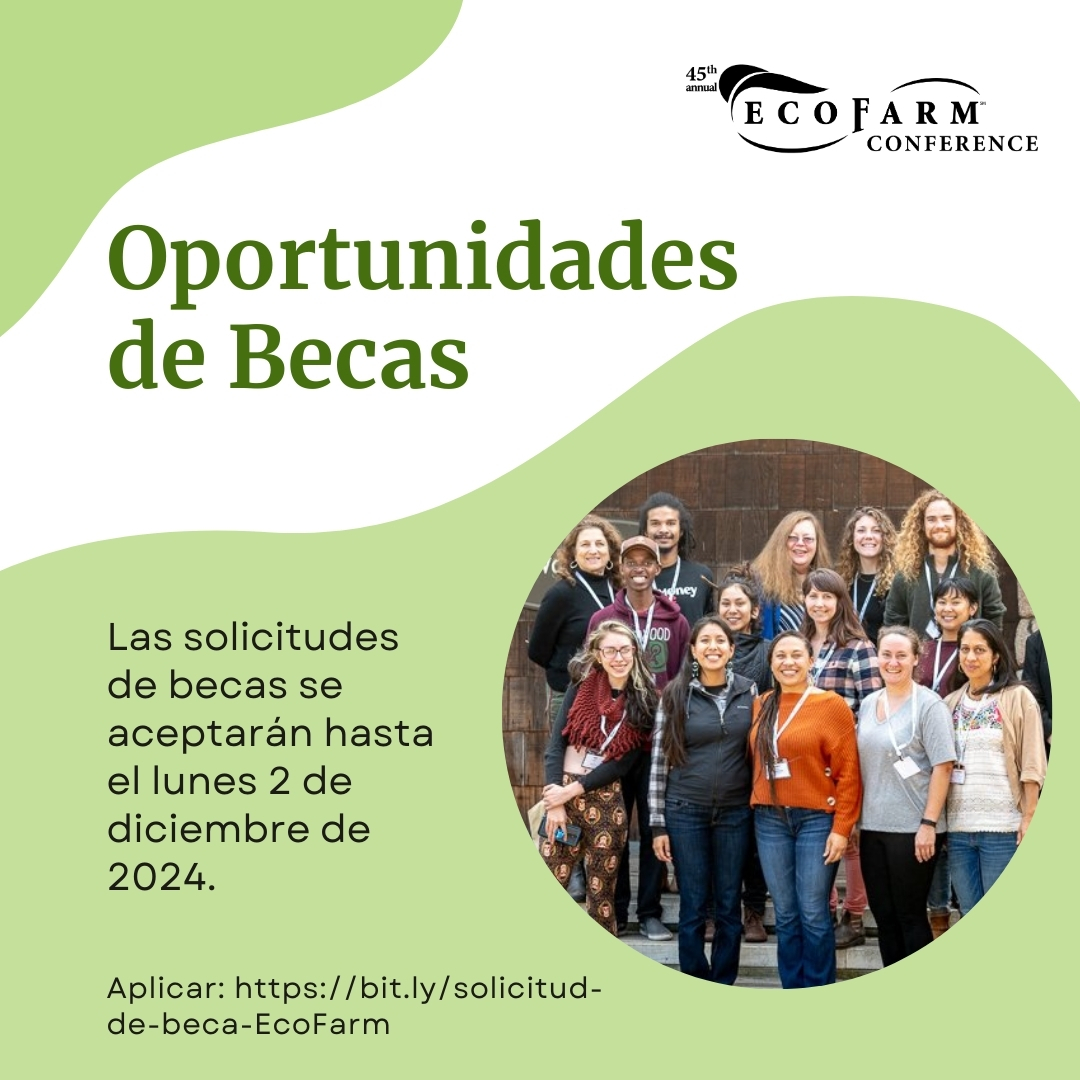 ¡Solicite nuestro Programa de Becas de Idioma Español para asistir a EcoFarm en enero de 2025! Aplicar: lnkd.in/gk9VgNXx #EcoFarm2025