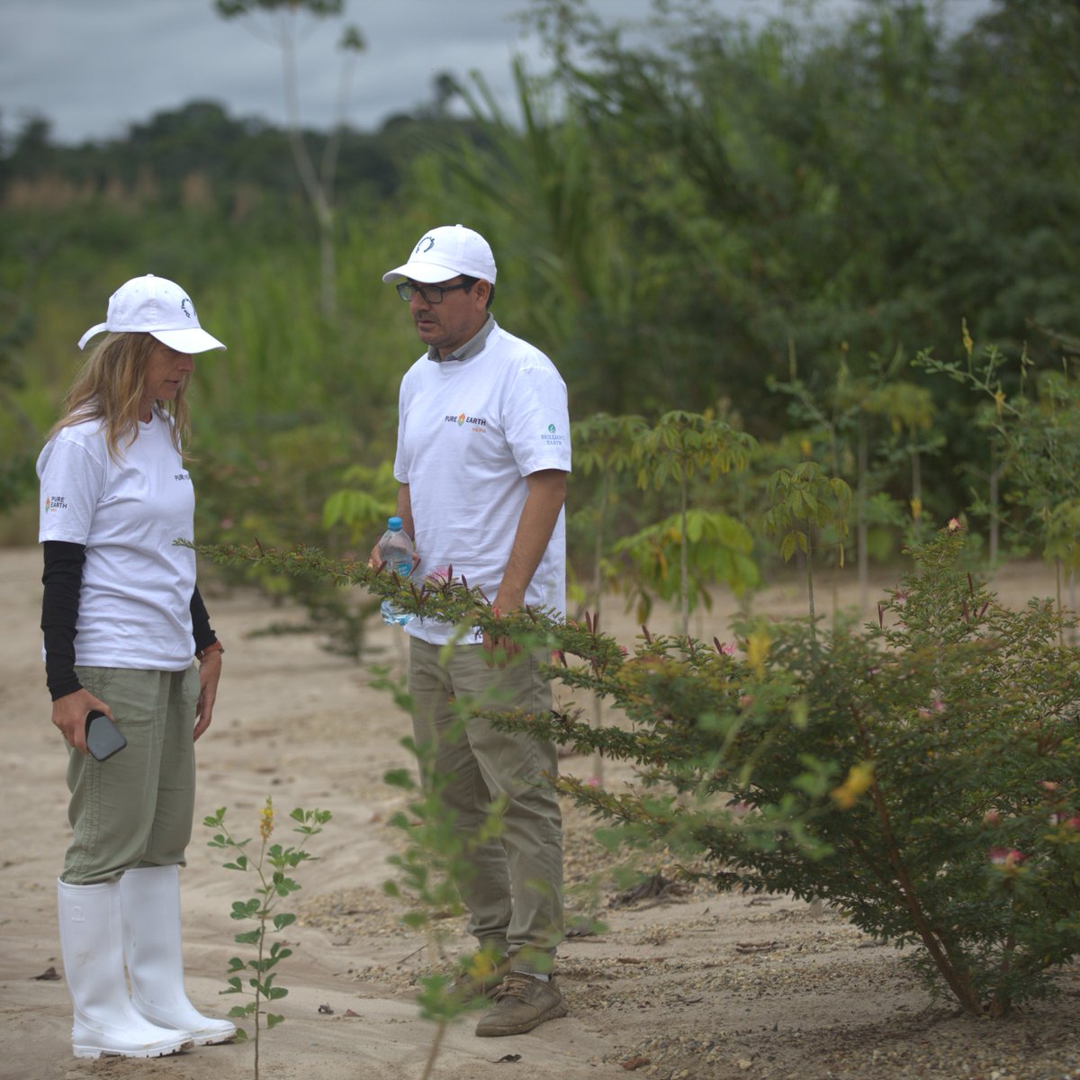 PureEarthPeru's tweet image. En #PureEarthPerú, nuestra fuerza está en nuestra gente. 💪Son clave para restaurar las áreas degradadas de la #Amazonía y proteger su biodiversidad. 🌱Gracias a su dedicación, construimos un futuro más saludable para todos.
Conoce más pureearth.org/peru-en-espano… #OrgulloPureEarth