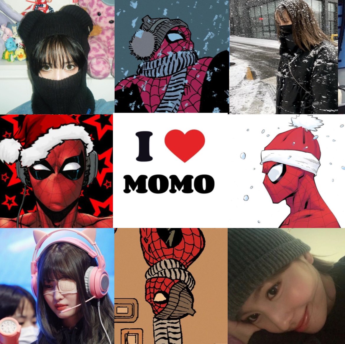 acervo momo🐱 tweet media