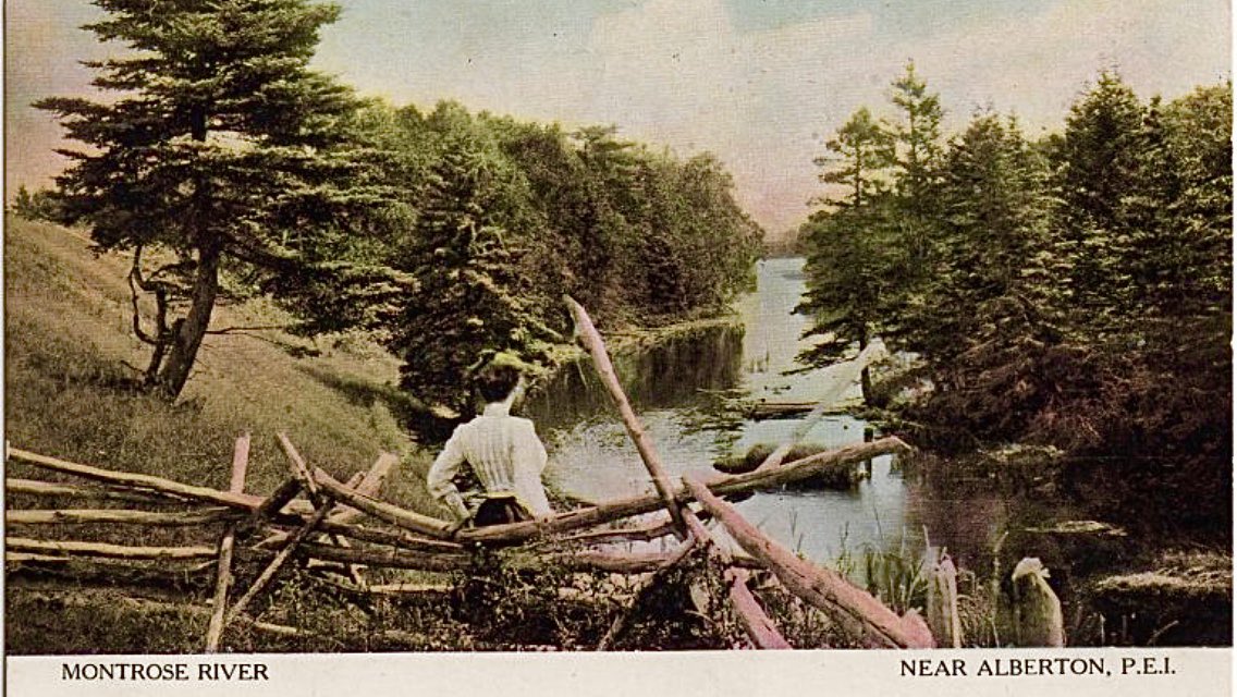 LM Montgomery Sesquicentennial !
1874-2024⏳

“It is never quite safe to think we have done with life. When we imagine we have finished our story fate has a trick of turning the page and showing us yet another chapter.”

RAINBOW VALLEY
