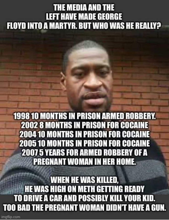 WahooMc's tweet photo. @RealJamesWoods Got this guy https://t.co/bjfBBcMv7I