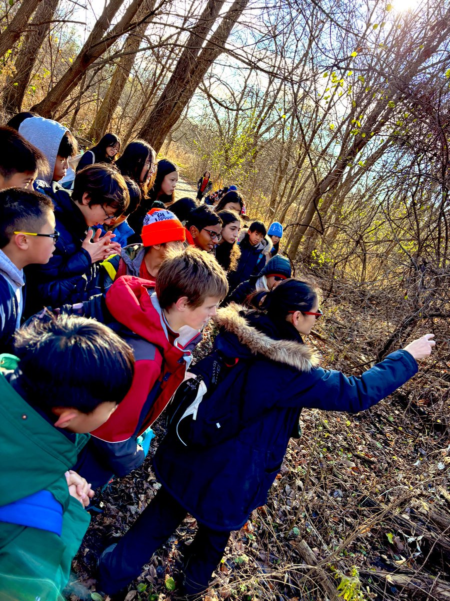 sjnpace's tweet photo. The grade 7 students had a great time using their photography skills at Toogood pond today for an upcoming language assignment📸 @sjnycdsb https://t.co/xi0RlrjtDm