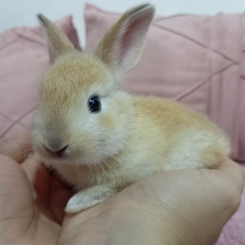 𖹭Kiki𖹭⁷ tweet media