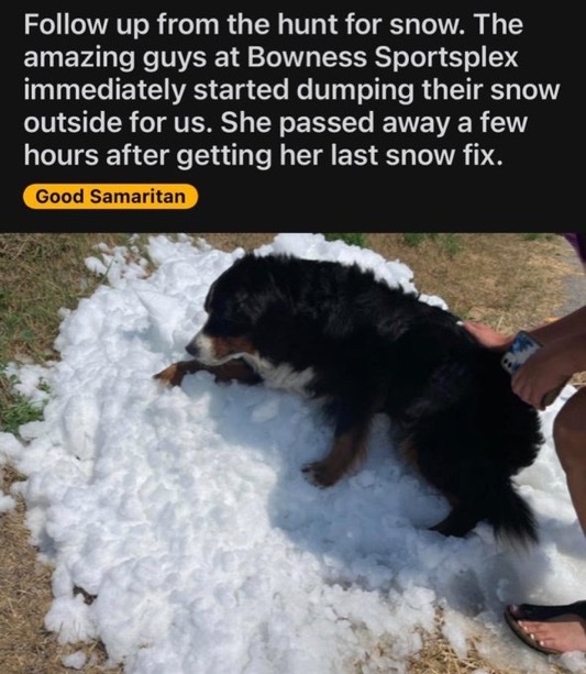 nocontextmemes's tweet photo. https://t.co/xwSzFZw4ol
