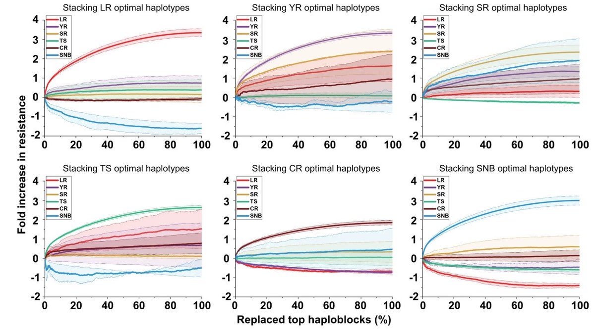 Lee Hickey (@drhikov) on Twitter photo Our latest paper explores the potential to harness haplotypes conferring multiple disease resistance in wheat breeding
Check it out in <a href="/TheorApplGenet/">TheorApplGenet</a>: rdcu.be/d1IoV
Congratulations to PhD student Jingyang Tong! Our latest paper explores the potential to harness haplotypes conferring multiple disease resistance in wheat breeding
Check it out in <a href="/TheorApplGenet/">TheorApplGenet</a>: rdcu.be/d1IoV
Congratulations to PhD student Jingyang Tong!