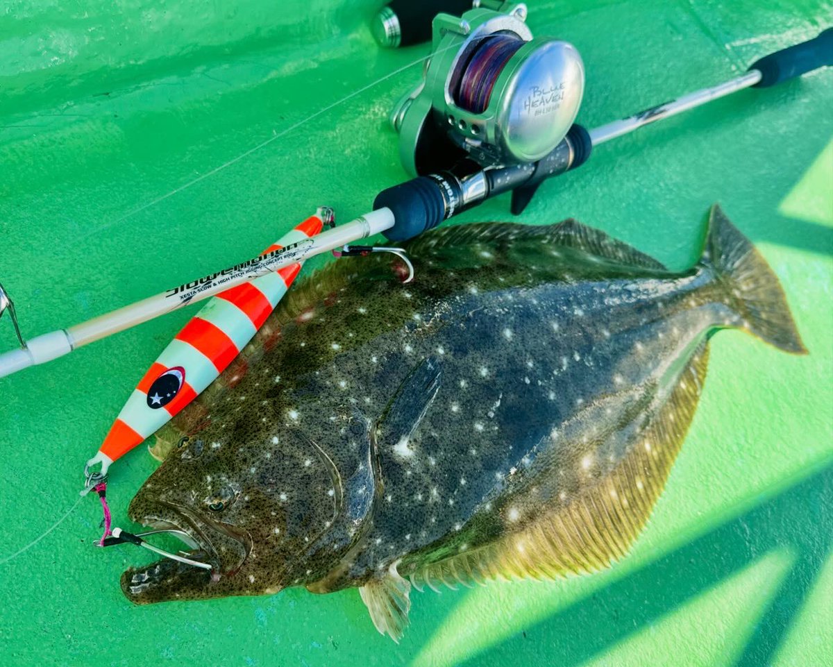 fishermanhiroki's tweet photo. PPJヒラメ🎣
なかなか反応が出ない時こそ、ジグを大きく重く速くしてアピールを強くしてヒラメをキャッチ❗️
PPJはヒラメ攻略奥の手😊
#XESTA
#B60PPJ
#スローエモーション
#チャフ
#ヤマトヨテグス
#PEジギング8
#フロロショックリーダー https://t.co/uKxG6pdYwb