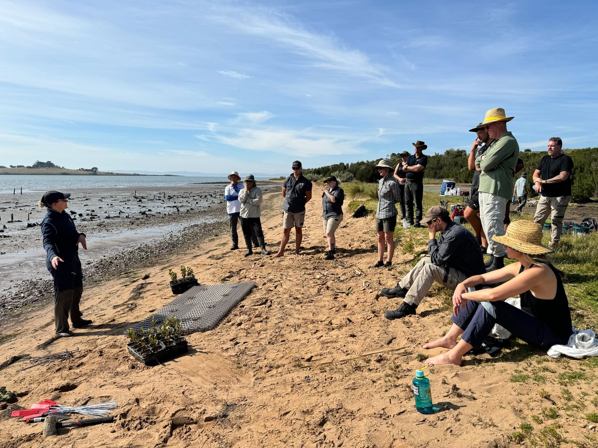 Last Friday, the #ReGenOurCoasts team joined forces with Western Port Biosphere Foundation for a mangrove planting #CitizenScience day on French Island! Our participants planted 240 mangroves and sparked inspiring conversations on how to restore &amp; protect #coastalwetlands🌱