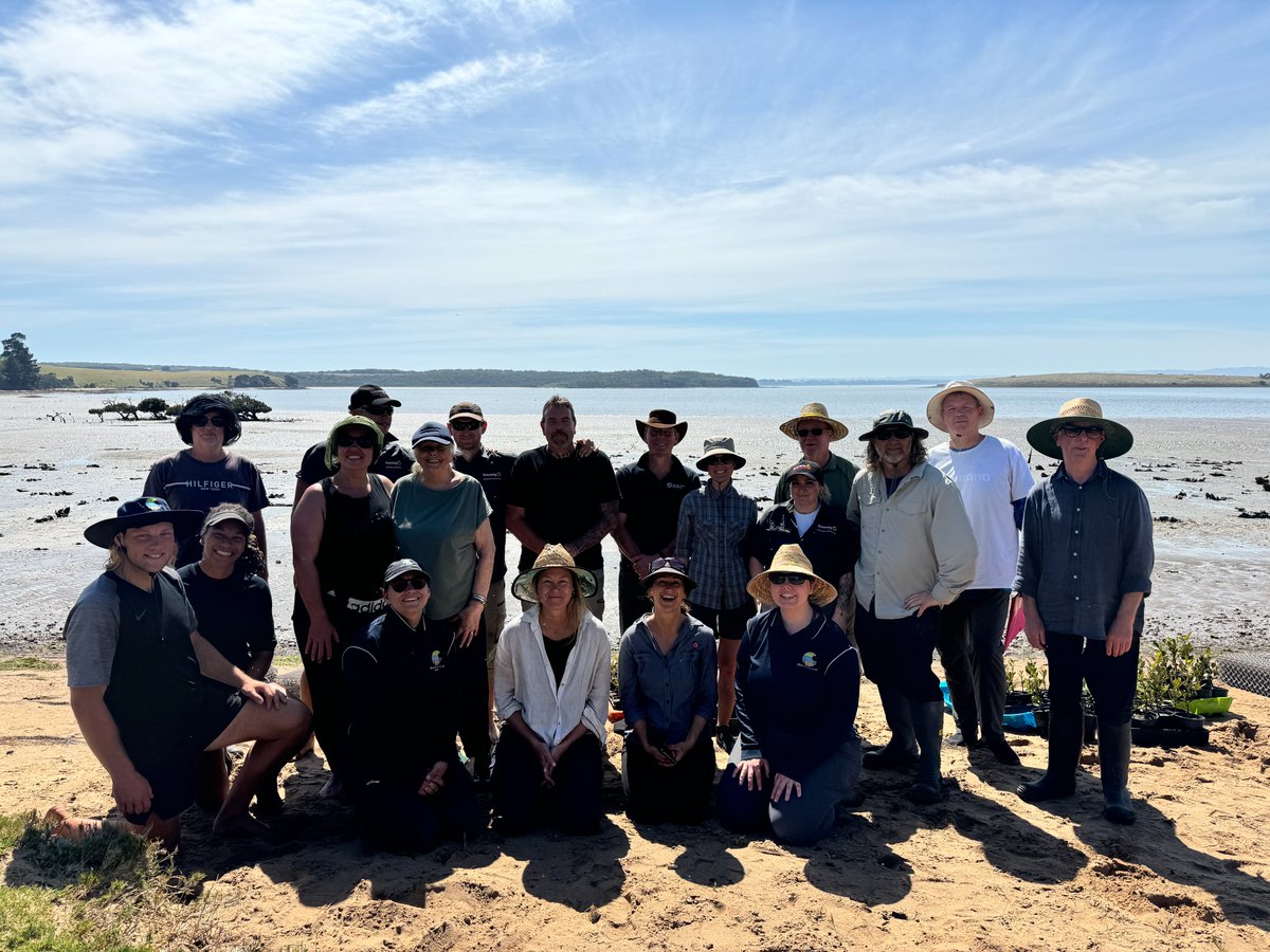 Blue Carbon Lab tweet media