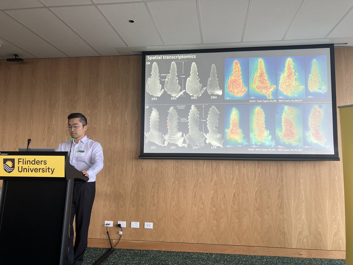 sbodes12's tweet photo. @Plant_Julianqu talks us through his impressive analysis of wheat inflorescence development using spatial transcriptomics #asps24 https://t.co/CdHBE8HHe2