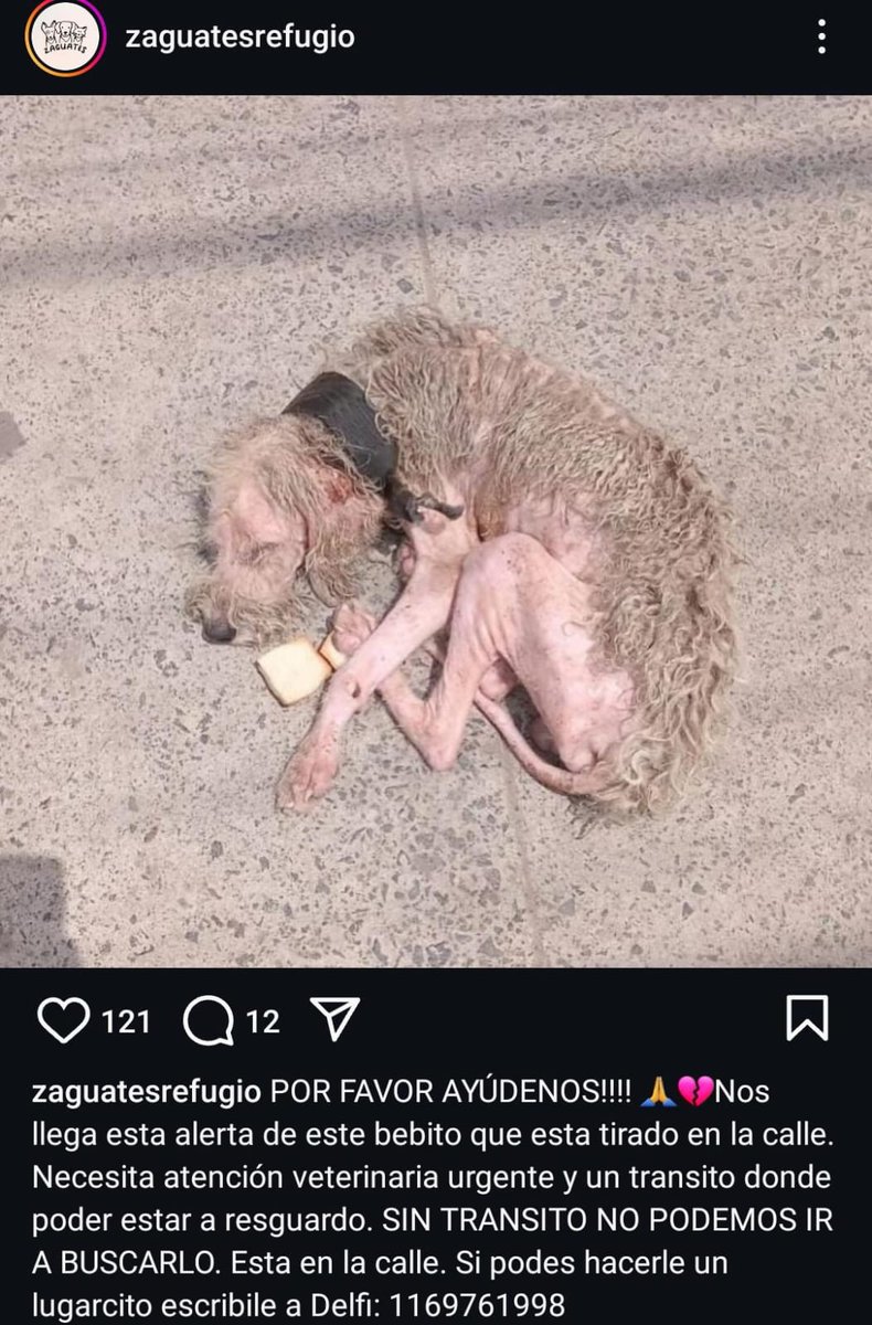 Rt
Urgente